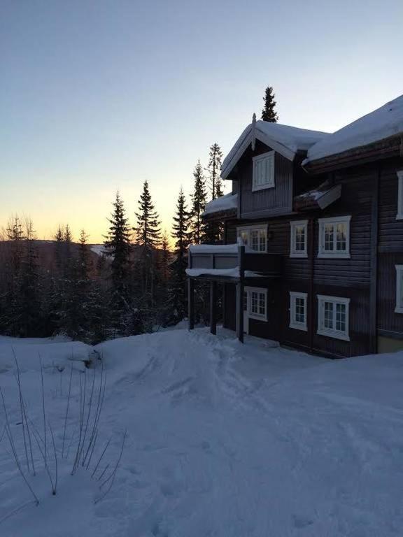 Flat In Trysil Ski In Ski Out And Sauna ภายนอก รูปภาพ